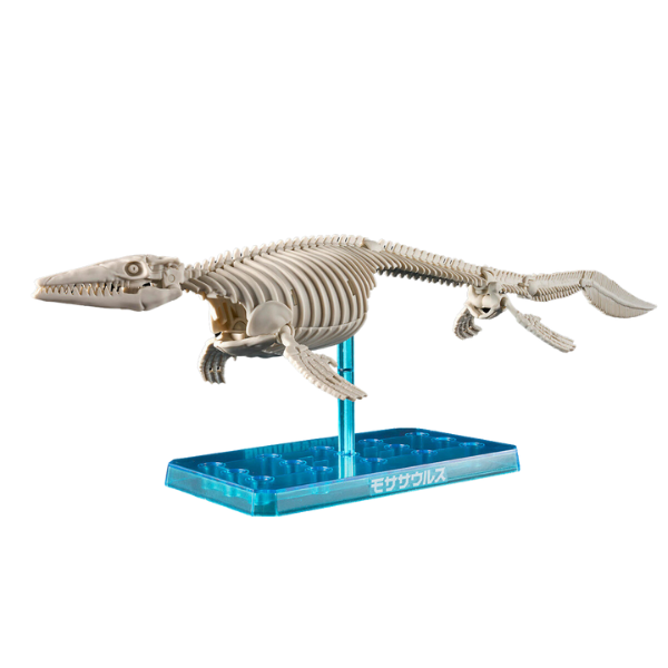 Gundam Express Australia Bandai Plannosaurus Land, Sea, and Air Dinosaur Set  sea dinosaur skeleton