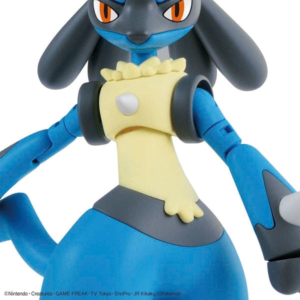 Bandai Pokemon Plamo Collection No.44 Riolu & Lucario close up riolu